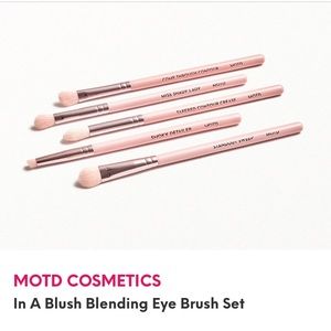MOTD In A Blush 5 piece blending eye brush set